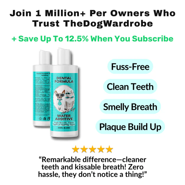 TheDogWardrobe™ Dental water — daily oral support, no brushing needed