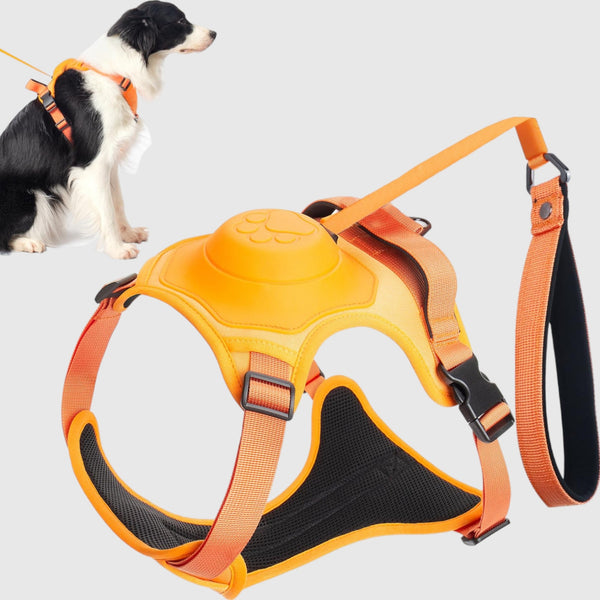 TheDogWardrobe™ 3 in 1 Dog Harness with Built-In Leash