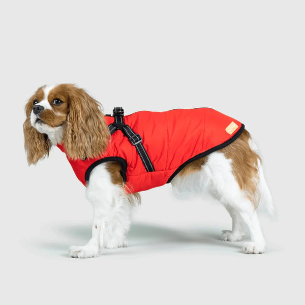 TheDogWardrobe™ 3 in 1 Jacket