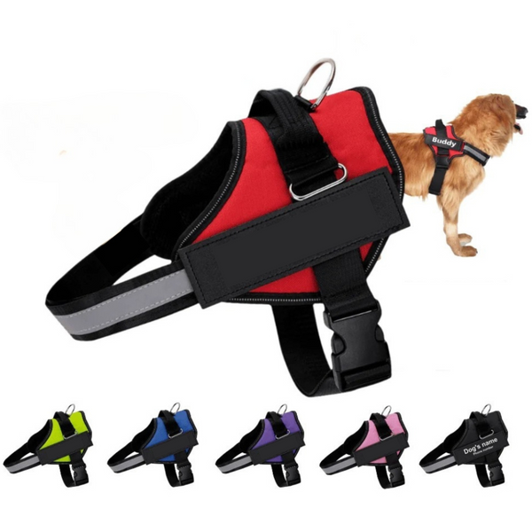 TheDogWardrobe™ Ultimate No Pull Dog Harness